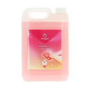 Savon pour mains AEQUO (5L) - CleanService