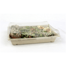 SABERT - Barquette rectangulaire 750ml en Pulpe avec couvercles (150pc) - Clean Service